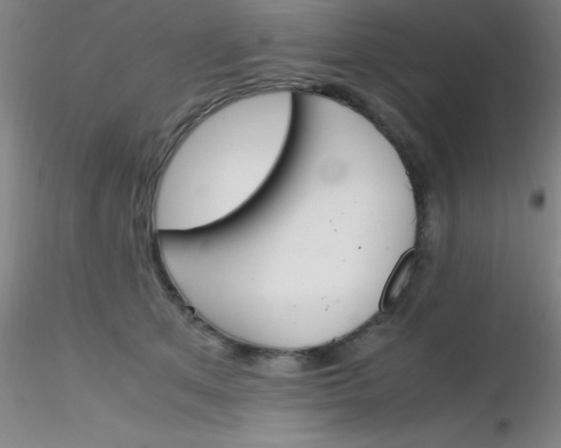 X0000116290513200912211843