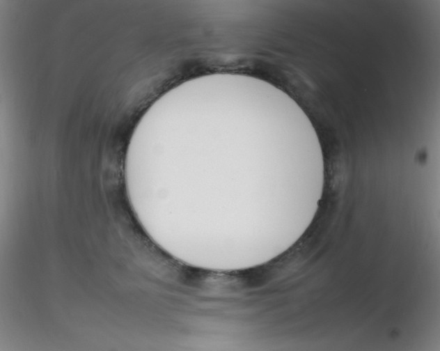 X0000116290515200912211843