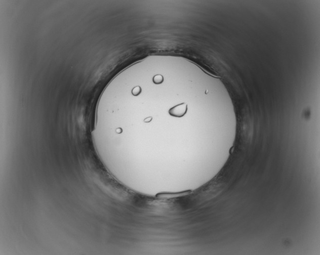 X0000116290516200912211843