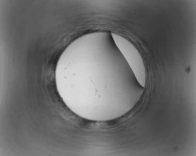 X0000116290517200912211843