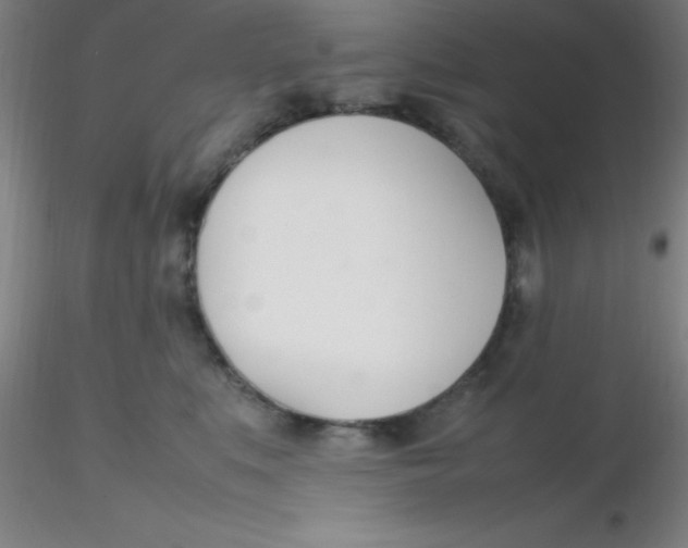 X0000116290519200912211843