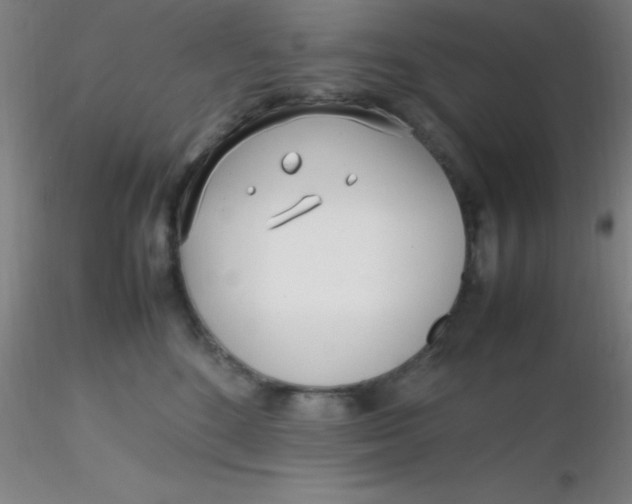 X0000116290520200912211843