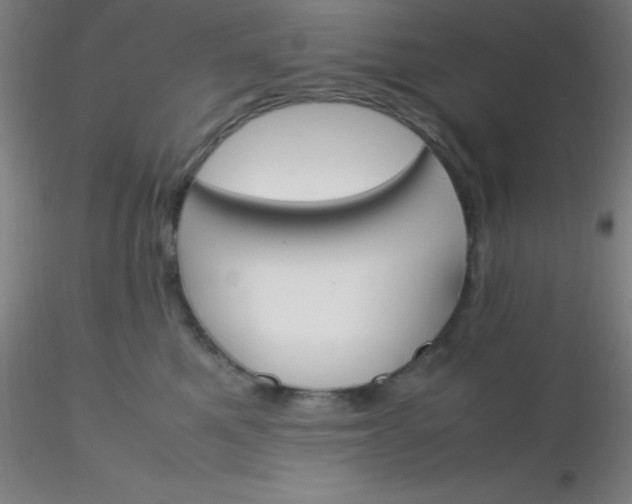 X0000116290521200912211843