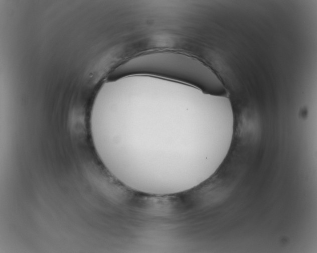 X0000116290524200912211843