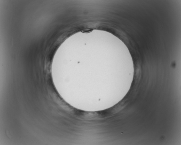 X0000116290525200912211843