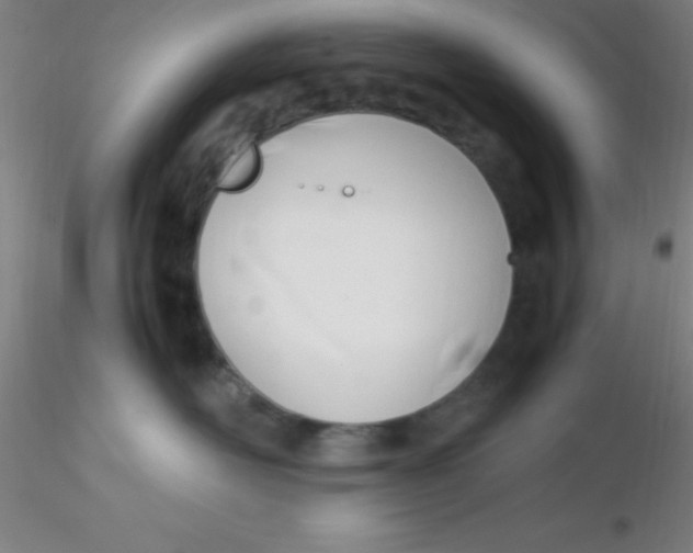 X0000116290526200912211843