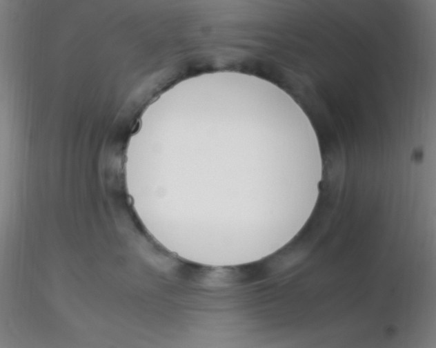 X0000116290527200912211843