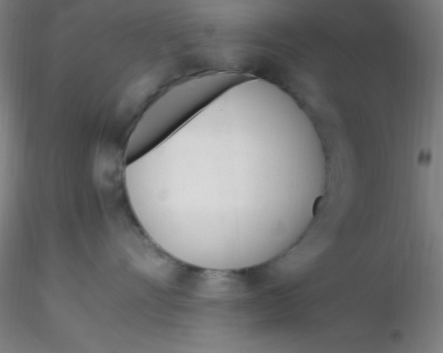 X0000116290528200912211843