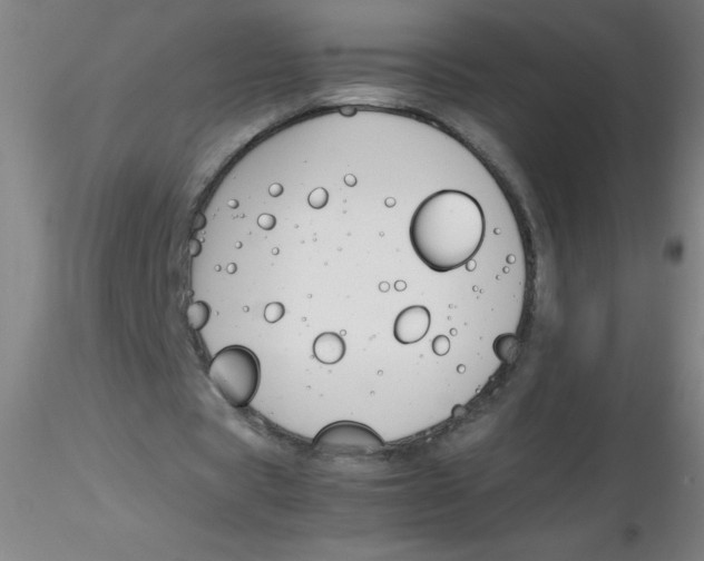 X0000116290529200912211842