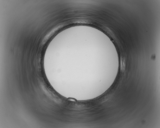 X0000116290531200912211842