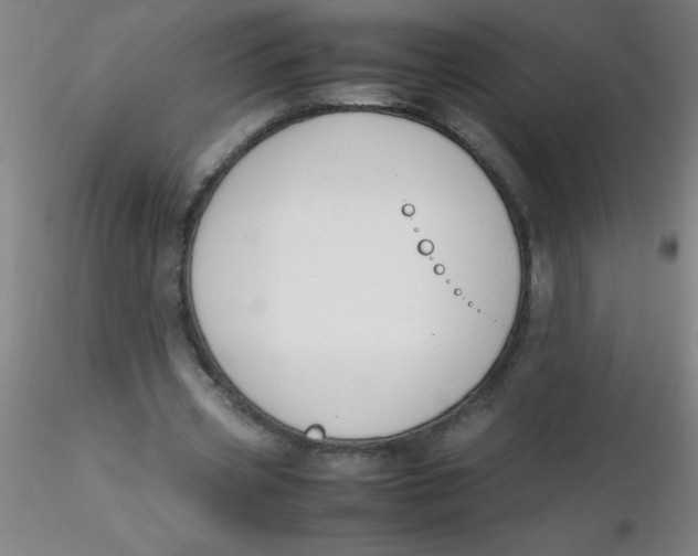 X0000116290533200912211842