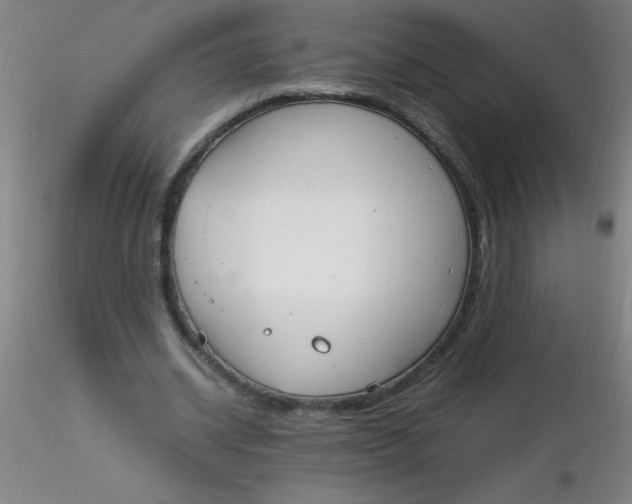 X0000116290534200912211842