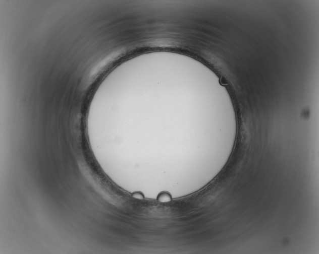 X0000116290535200912211842