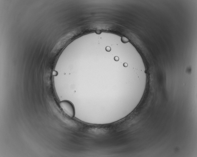 X0000116290537200912211842