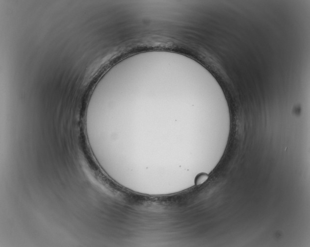 X0000116290538200912211842