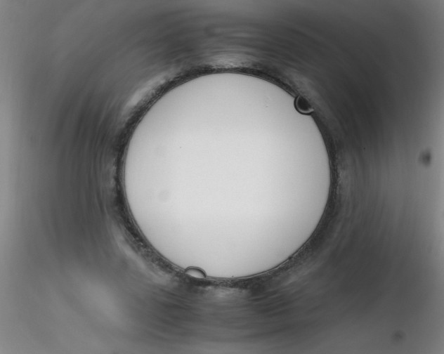 X0000116290539200912211842