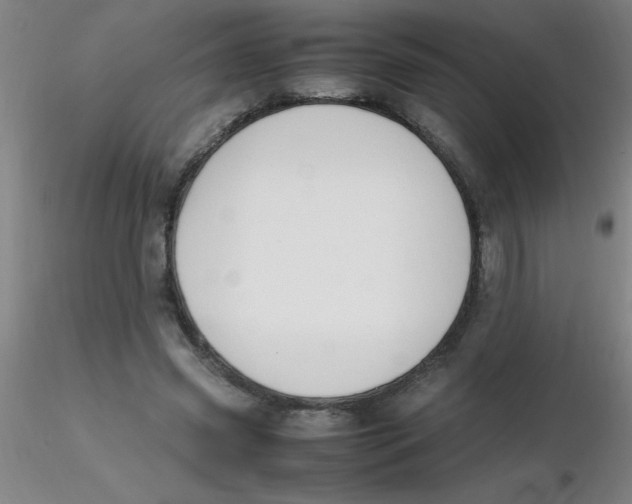 X0000116290541200912211842