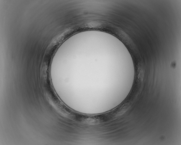 X0000116290542200912211842