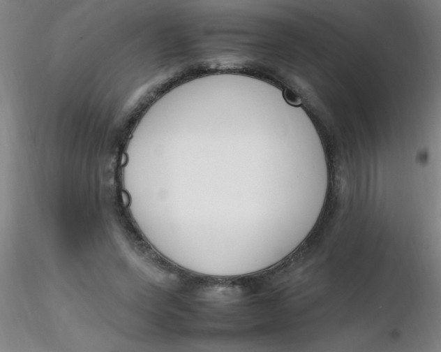 X0000116290543200912211843