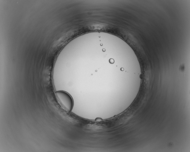 X0000116290545200912211843