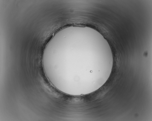 X0000116290546200912211843