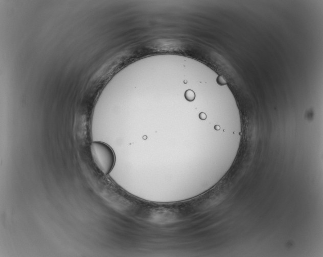 X0000116290549200912211843