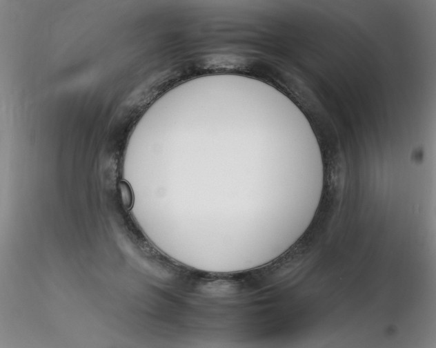 X0000116290551200912211843