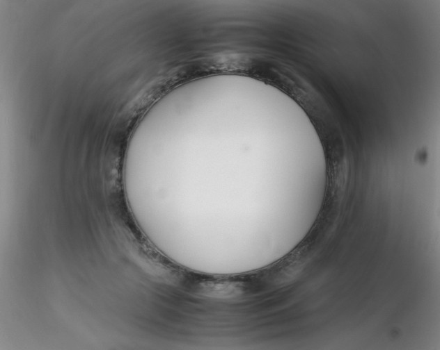 X0000116290553200912211843