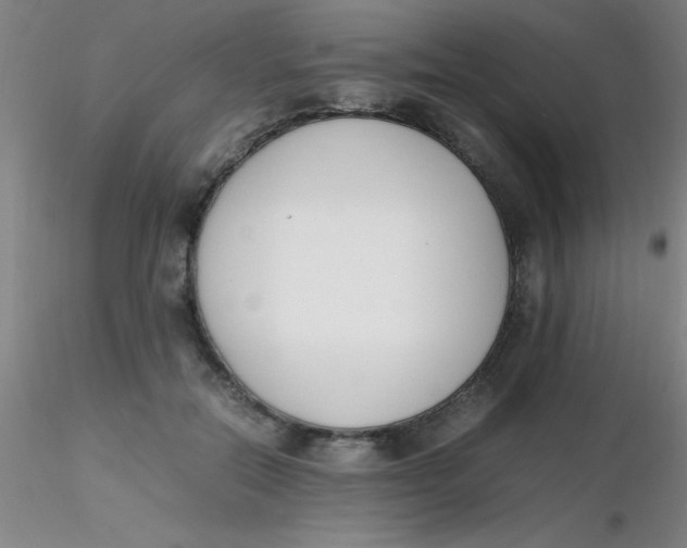 X0000116290554200912211843