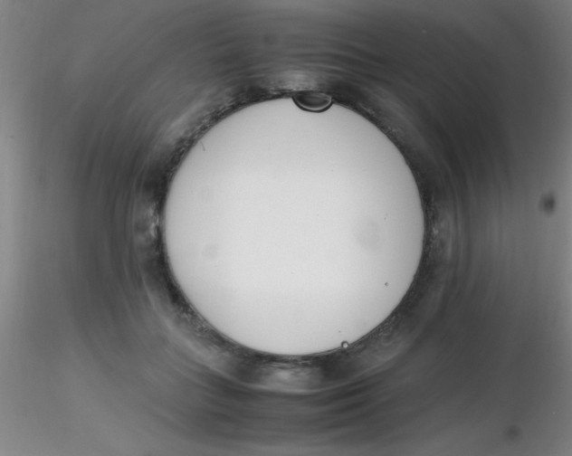 X0000116290555200912211843