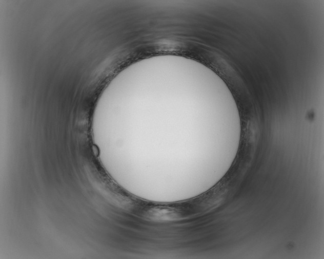 X0000116290557200912211843