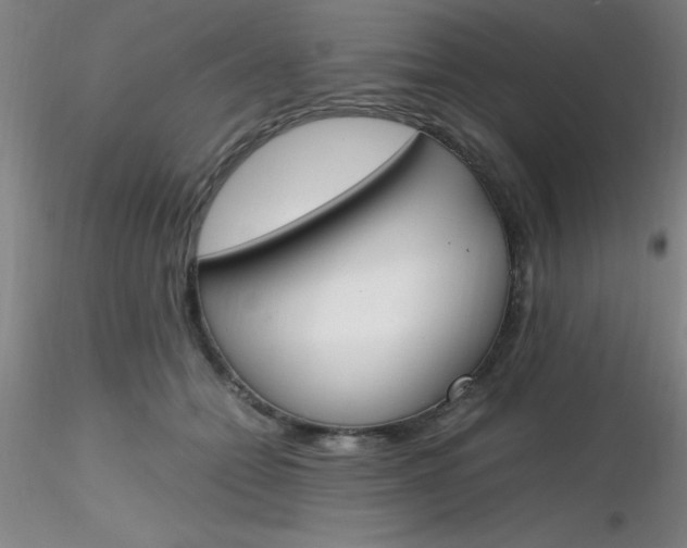 X0000116290558200912211843