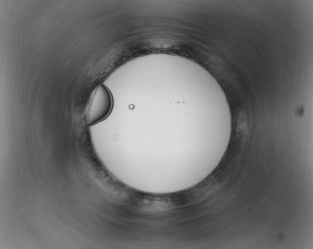 X0000116290559200912211843