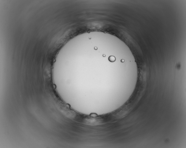 X0000116290561200912211843