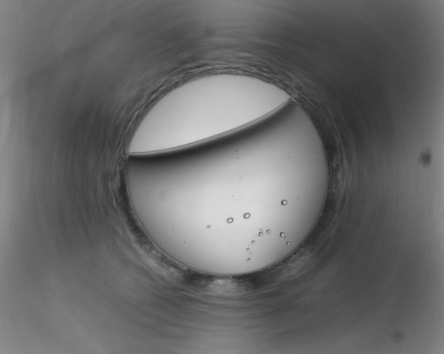 X0000116290562200912211843