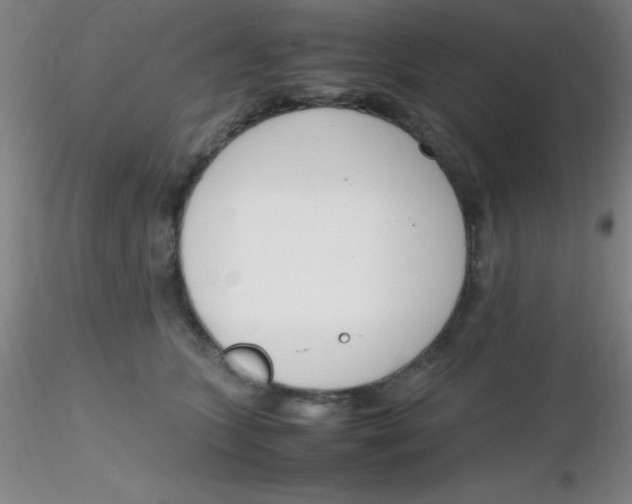 X0000116290563200912211843