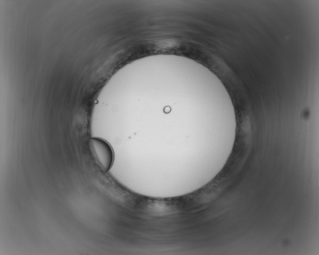 X0000116290565200912211843