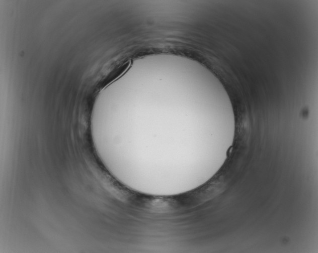 X0000116290566200912211843