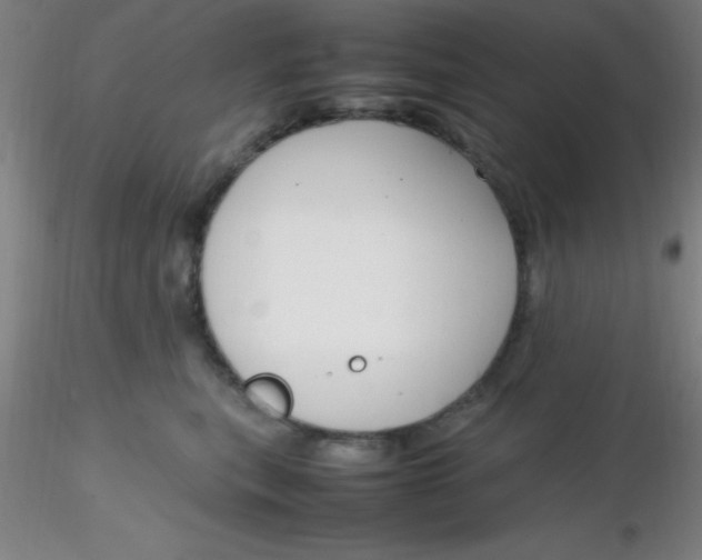 X0000116290567200912211843