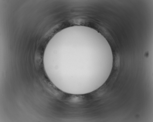 X0000116290569200912211843