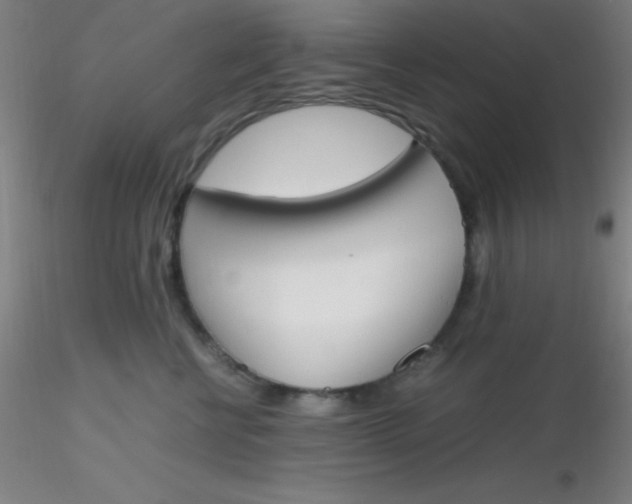 X0000116290570200912211843