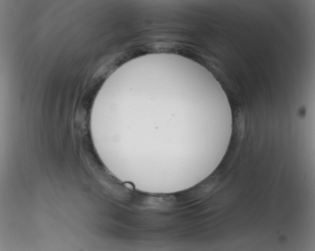 X0000116290571200912211843