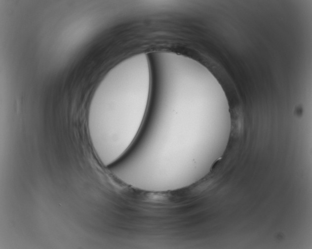 X0000116290573200912211843