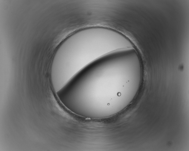 X0000116290577200912211842