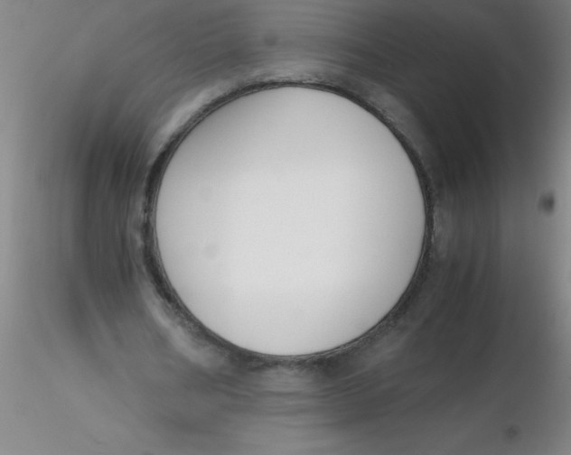 X0000116290578200912211842