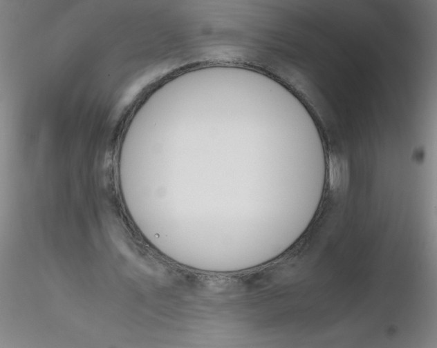 X0000116290579200912211842