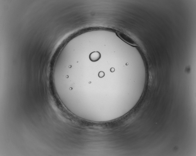 X0000116290580200912211842