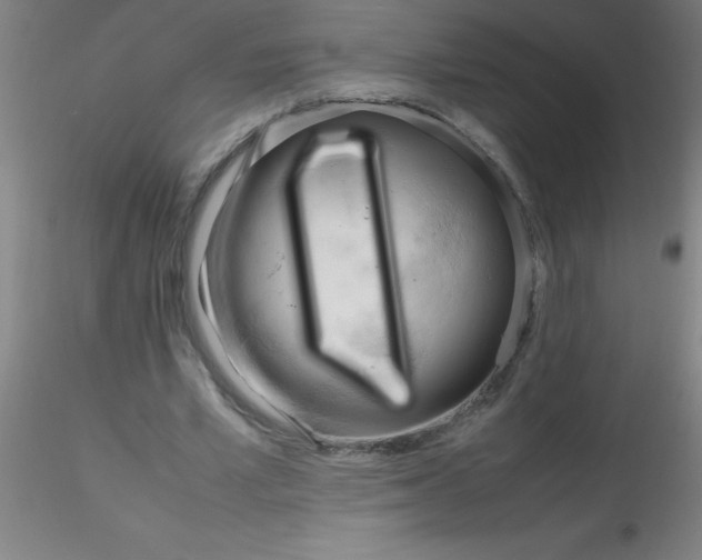 X0000116290581200912211842