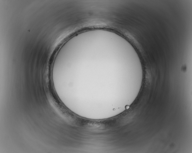 X0000116290582200912211842