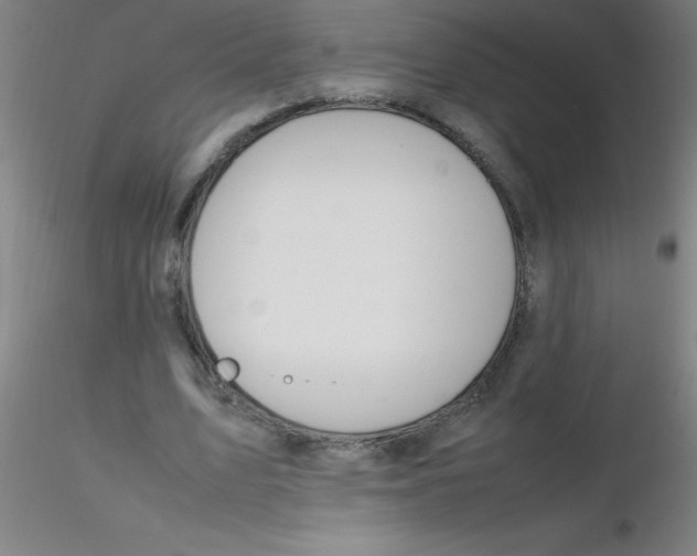 X0000116290583200912211842